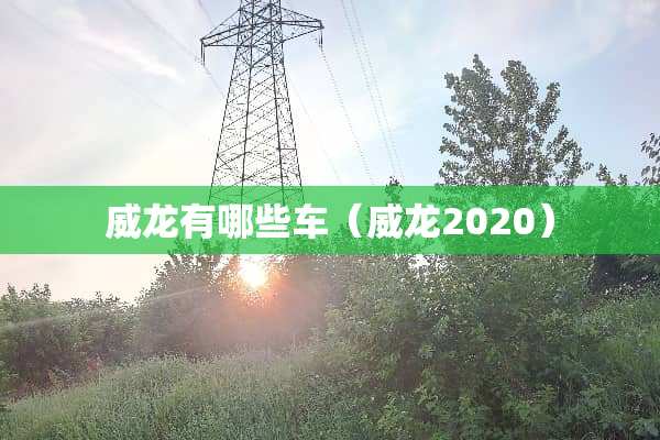 威龙有哪些车（威龙2020）