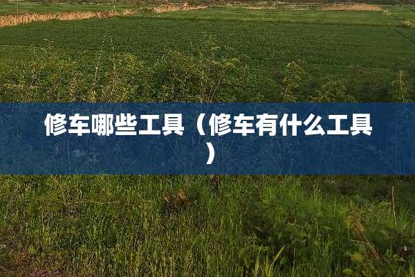 修车哪些工具（修车有什么工具）