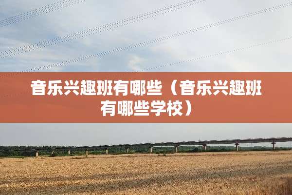 音乐兴趣班有哪些（音乐兴趣班有哪些学校）
