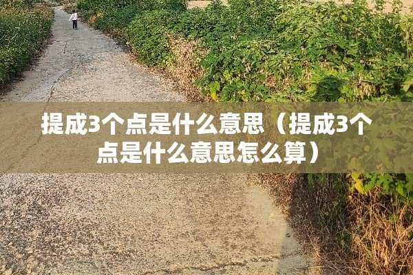 提成3个点是什么意思（提成3个点是什么意思怎么算）