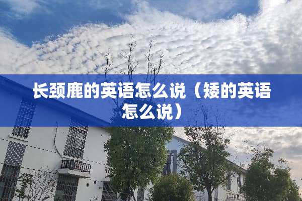 长颈鹿的英语怎么说（矮的英语怎么说）