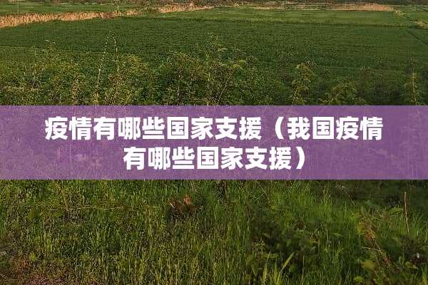 疫情有哪些国家支援（我国疫情有哪些国家支援）