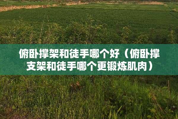 俯卧撑架和徒手哪个好（俯卧撑支架和徒手哪个更锻炼肌肉）