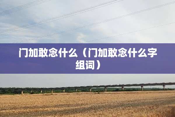 门加敢念什么（门加敢念什么字组词）