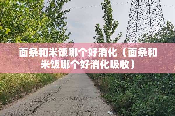 面条和米饭哪个好消化（面条和米饭哪个好消化吸收）