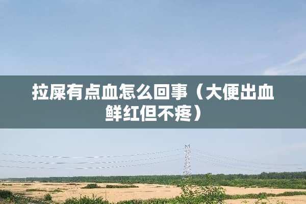 拉屎有点血怎么回事（大便出血鲜红但不疼）