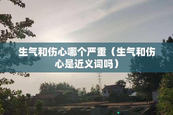 生气和伤心哪个严重（生气和伤心是近义词吗）