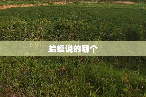 蛤蟆说的哪个