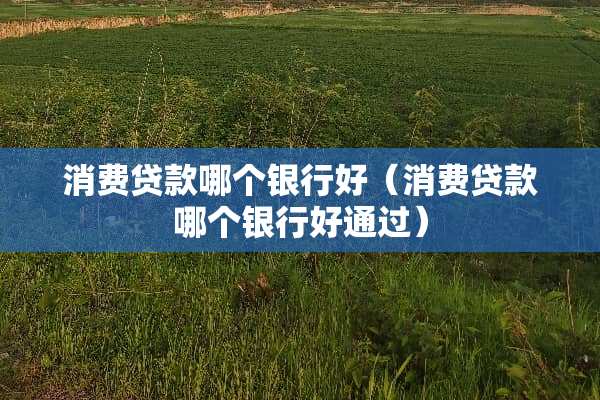 消费贷款哪个银行好（消费贷款哪个银行好通过）