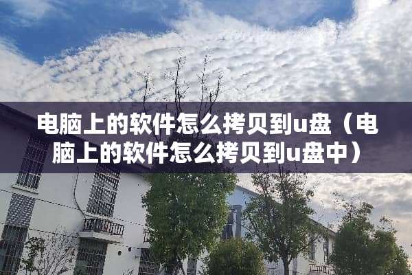 电脑上的软件怎么拷贝到u盘（电脑上的软件怎么拷贝到u盘中）