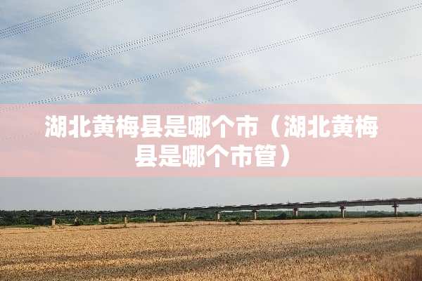 湖北黄梅县是哪个市（湖北黄梅县是哪个市管）