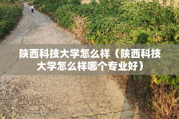 陕西科技大学怎么样（陕西科技大学怎么样哪个专业好）