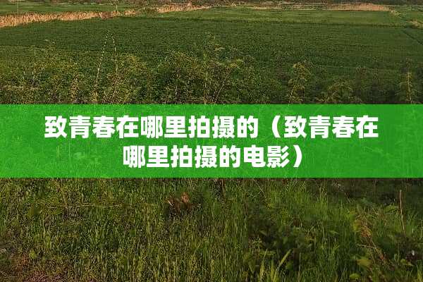 致青春在哪里拍摄的（致青春在哪里拍摄的电影）