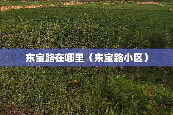 东宝路在哪里（东宝路小区）