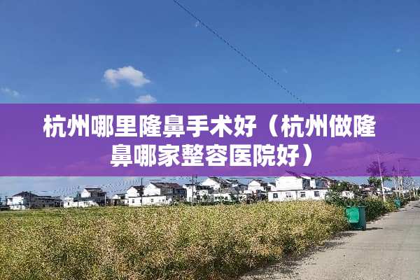 杭州哪里隆鼻手术好（杭州做隆鼻哪家整容医院好）