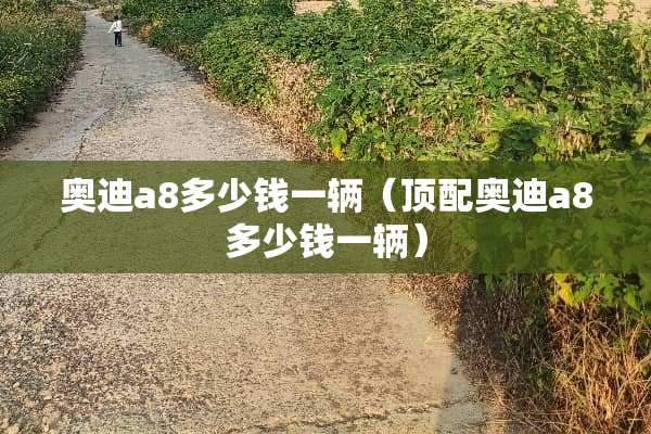 奥迪a8多少钱一辆（顶配奥迪a8多少钱一辆）