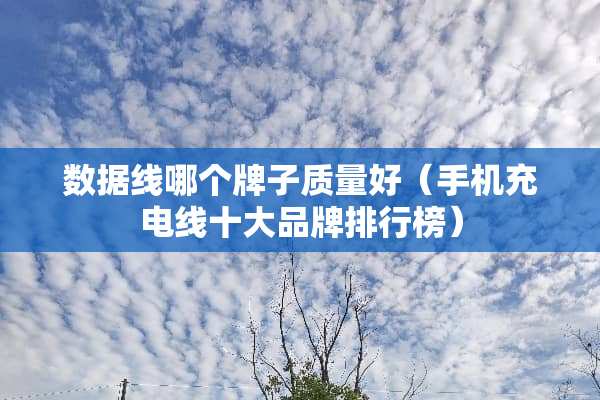 数据线哪个牌子质量好（手机充电线十大品牌排行榜）