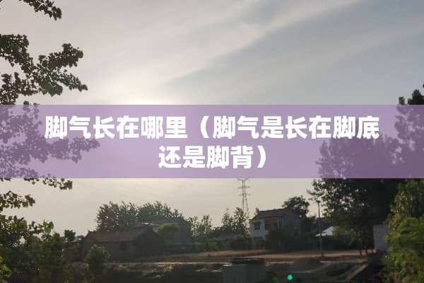 脚气长在哪里（脚气是长在脚底还是脚背）