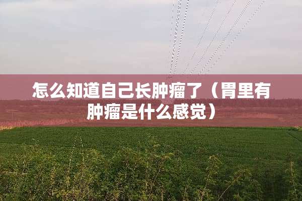 怎么知道自己长肿瘤了（胃里有肿瘤是什么感觉）