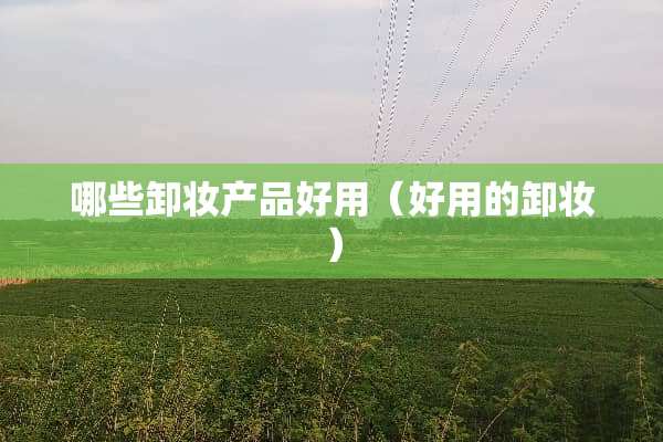 哪些卸妆产品好用（好用的卸妆）