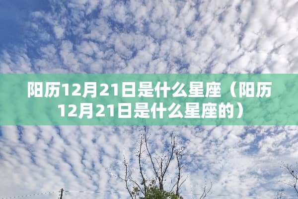 阳历12月21日是什么星座（阳历12月21日是什么星座的）