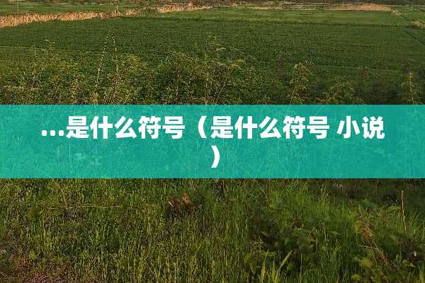 …是什么符号（是什么符号 小说）