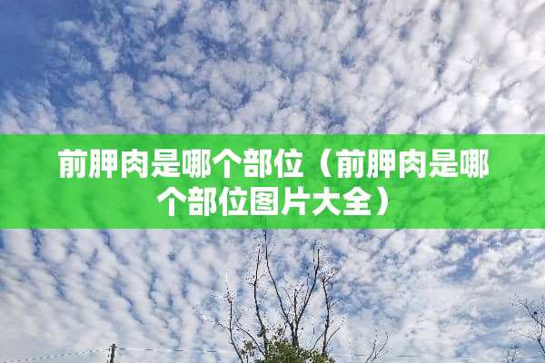 前胛肉是哪个部位（前胛肉是哪个部位图片大全）