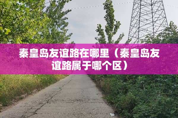 秦皇岛友谊路在哪里（秦皇岛友谊路属于哪个区）