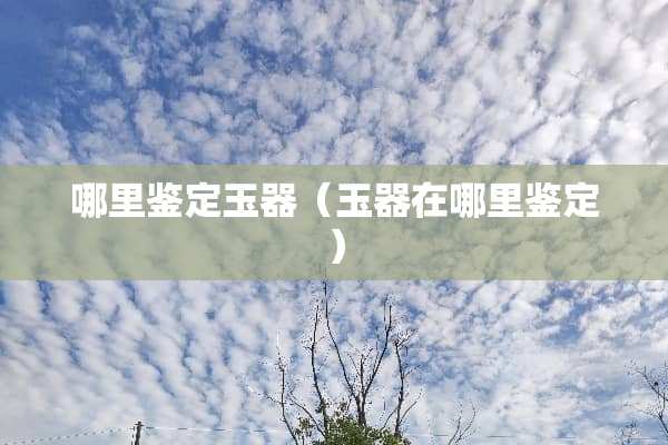 哪里鉴定玉器（玉器在哪里鉴定）