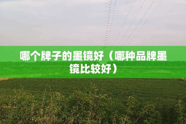 哪个牌子的墨镜好（哪种品牌墨镜比较好）