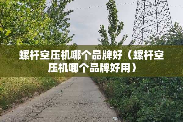 螺杆空压机哪个品牌好（螺杆空压机哪个品牌好用）