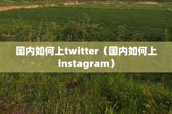 国内如何上twitter（国内如何上instagram）