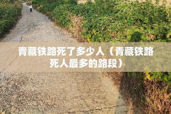 青藏铁路死了多少人（青藏铁路死人最多的路段）