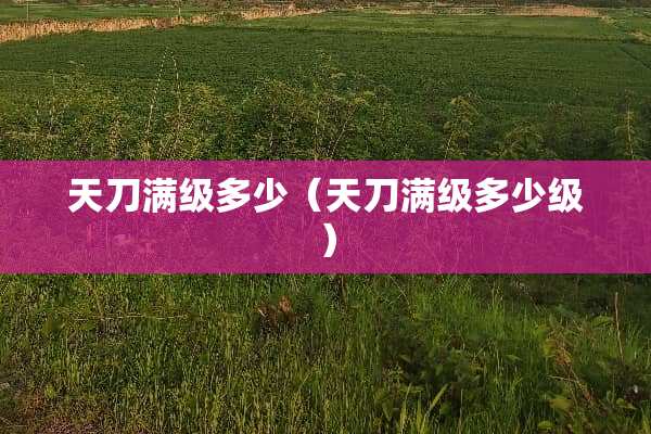 天刀满级多少（天刀满级多少级）