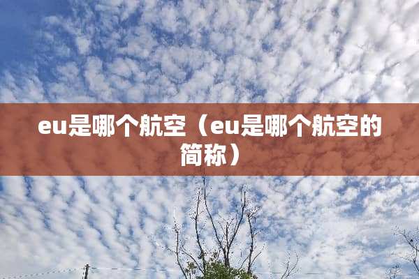 eu是哪个航空（eu是哪个航空的简称）