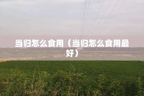 当归怎么食用（当归怎么食用最好）