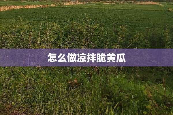 怎么做凉拌脆黄瓜