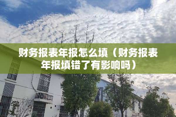 财务报表年报怎么填（财务报表年报填错了有影响吗）
