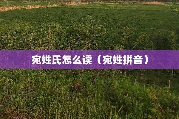 宛姓氏怎么读（宛姓拼音）