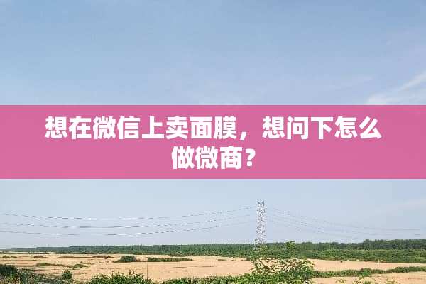 想在微信上卖面膜，想问下怎么做微商？