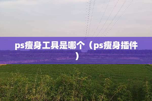 ps瘦身工具是哪个（ps瘦身插件）