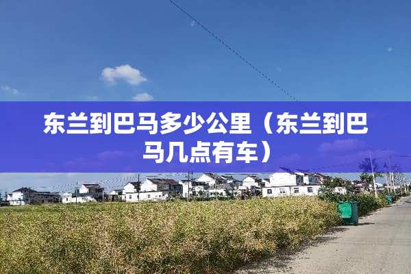 东兰到巴马多少公里（东兰到巴马几点有车）