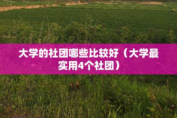 大学的社团哪些比较好（大学最实用4个社团）