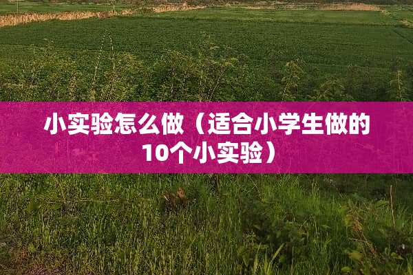 小实验怎么做（适合小学生做的10个小实验）