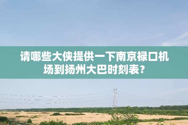 请哪些大侠提供一下南京禄口机场到扬州大巴时刻表？