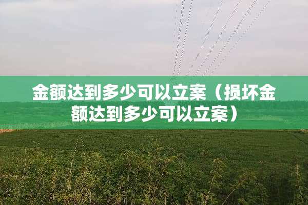 金额达到多少可以立案（损坏金额达到多少可以立案）