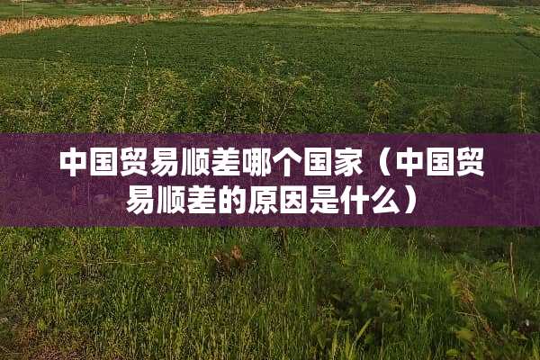 中国贸易顺差哪个国家（中国贸易顺差的原因是什么）