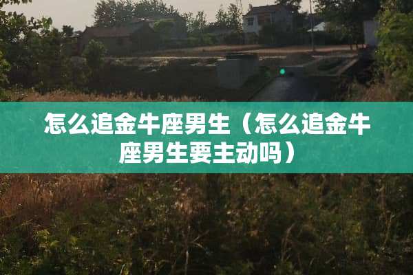 怎么追金牛座男生（怎么追金牛座男生要主动吗）