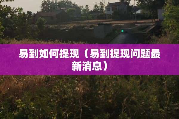 易到如何提现（易到提现问题最新消息）