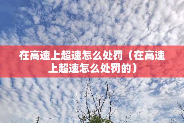 在高速上**怎么处罚（在高速上**怎么处罚的）